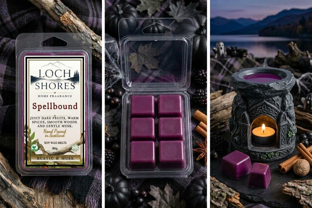 Spellbound Shell Wax Melt